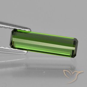 Tourmaline Gemstone in 12.2 x 3.6 mm Size for Sale, Tourmaline Stone in Medium Green Color