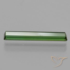 Tourmaline Gemstone in 16.5 x 2.8 mm Size for Sale, Tourmaline Stone in Earthy Green Color