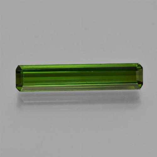 Forest Green Tourmaline Gem - 3.5ct Octagon Facet (ID: 416025)