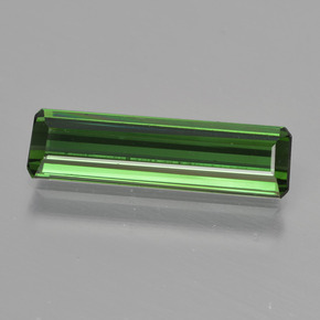 Medium Green Tourmaline Gem - 1.7ct Octagon Facet (ID: 416062)