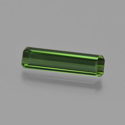 Forest Green Tourmaline Gem - 1.2ct Octagon Facet (ID: 416172)