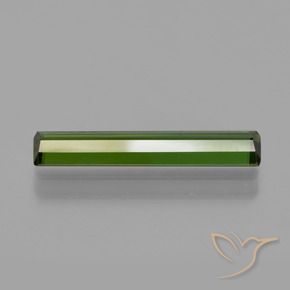 Tourmaline Gemstone in 16.4 x 3.4 mm Size for Sale, Tourmaline Stone in Forest Green Color