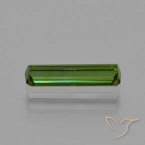 Tourmaline Gemstone in 11.9 x 3.1 mm Size for Sale, Tourmaline Stone in Earthy Green Color