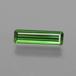 Forest Green Tourmaline Gem - 1.1ct Octagon Facet (ID: 416264)
