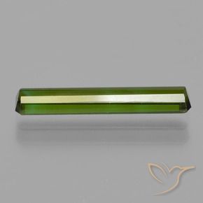 Tourmaline Gemstone in 15.9 x 3.2 mm Size for Sale, Tourmaline Stone in Forest Green Color