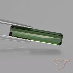 Tourmaline Gemstone in 16.2 x 3.7 mm Size for Sale, Tourmaline Stone in Forest Green Color
