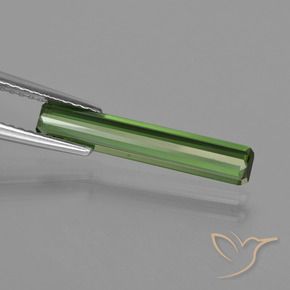 Tourmaline Gemstone in 18.9 x 3.4 mm Size for Sale, Tourmaline Stone in Medium Green Color