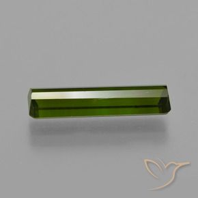 Tourmaline Gemstone in 15.9 x 4.3 mm Size for Sale, Tourmaline Stone in Medium Green Color
