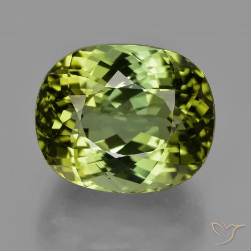 24.08 ct Loose Green Tourmaline, 17.4 x 14.5 mm Oval Cut From Mozambique, Photo A