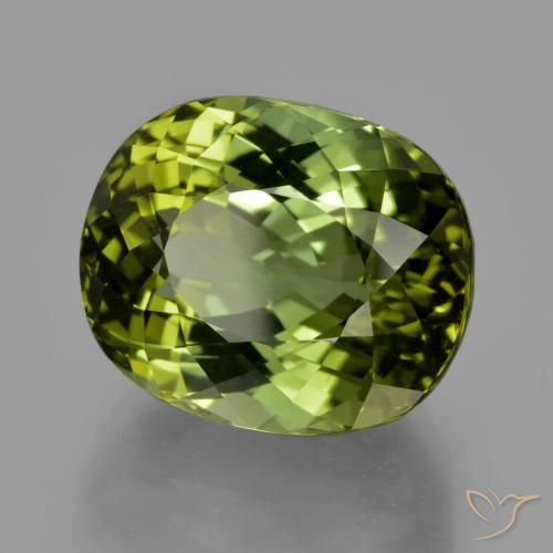 24.08 ct Green Tourmaline Stone, Natural Tourmaline in Oval Facet Shape for Sale