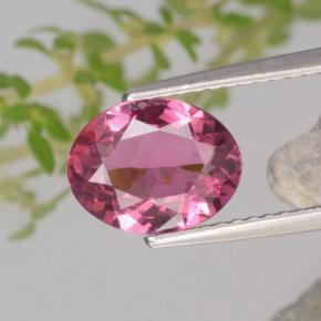 1.6ct Oval Facet Purplish Red Tourmaline for sale thumb image of 1.6ct Oval Facet Purplish Red Tourmaline (ID: 417740)