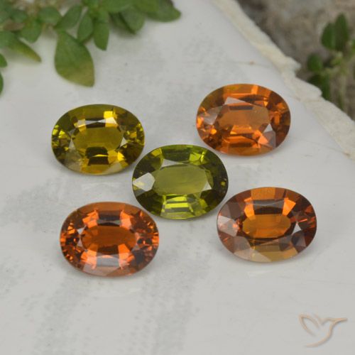 彩色 碧玺 Gem - 0.5ct 椭圆形切面 (ID: 419926)