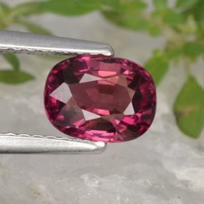 1.1ct Cushion-Cut Pink Red Tourmaline Gem for sale 1.1ct Cushion-Cut Pink Red Tourmaline Gem (ID: 419990)