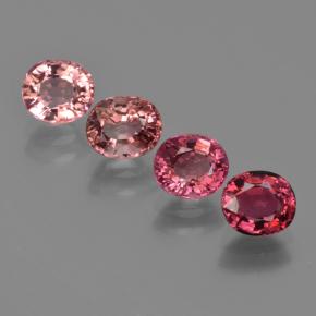 0.8ct Oval Facet Pinkish Orange Tourmaline for sale thumb image of 0.8ct Oval Facet Pinkish Orange Tourmaline (ID: 420401)