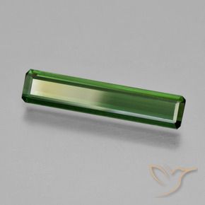 1.56 ct Green Tourmaline Stone, Natural Tourmaline in Octagon Facet Shape for Sale