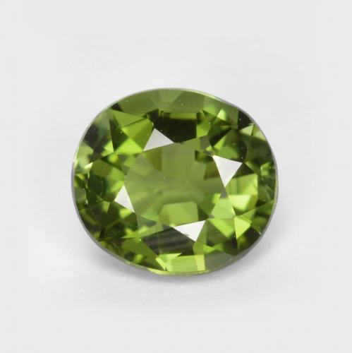 Seaweed Green Turmalin Edelstein - 0.8ct Oval facettiert (ID: 434278)