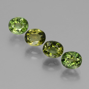 Medium Green Turmalin Edelstein - 0.8ct Oval facettiert (ID: 434354)