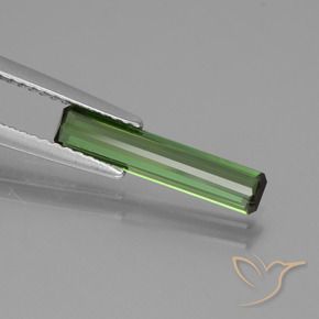 Tourmaline Gemstone in 15.5 x 3.2 mm Size for Sale, Tourmaline Stone in Deep Green Color