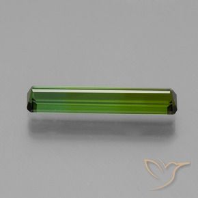 Tourmaline Gemstone in 17.3 x 3.3 mm Size for Sale, Tourmaline Stone in Earthy Green Color