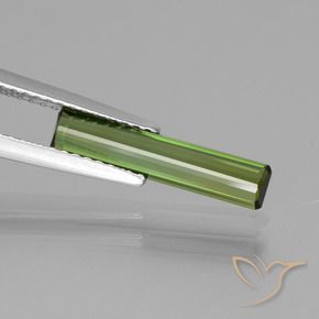 Tourmaline Gemstone in 15.7 x 3.3 mm Size for Sale, Tourmaline Stone in Medium Green Color