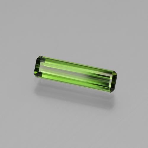 Deep Green Tourmaline Gem - 0.8ct Octagon Facet (ID: 438074)