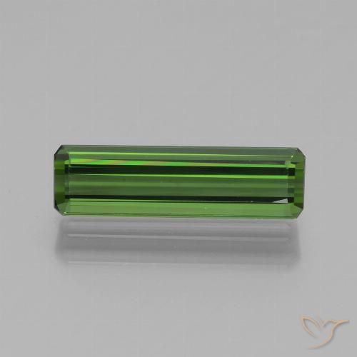 1.39ct طبيعي أخضر الغابات تورمالين, ثمانى / قصة زمرد, VVS, Photo A