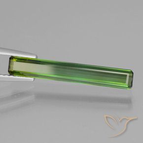 1.47 ct Green Tourmaline Stone, Natural Tourmaline in Octagon Facet Shape for Sale