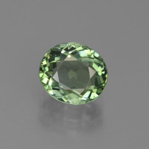 Forest Green Tourmaline Gem - 2.4ct Oval Facet (ID: 441227)