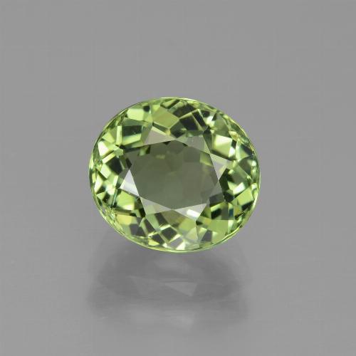 Warm Green Tourmaline Gem - 2.5ct Oval Facet (ID: 441232)