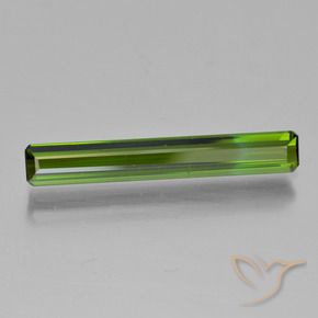 1.63 ct Green Tourmaline Stone, Natural Tourmaline in Octagon Step Cut Shape for Sale