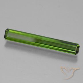 1.33 ct Green Tourmaline Stone, Natural Tourmaline in Octagon Step Cut Shape for Sale