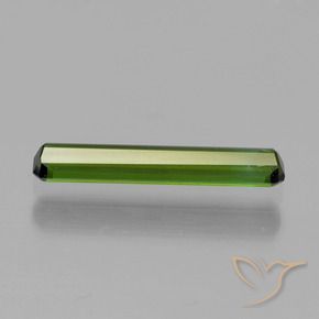 Tourmaline Gemstone in 14.6 x 2.6 mm Size for Sale, Tourmaline Stone in Seaweed Green Color