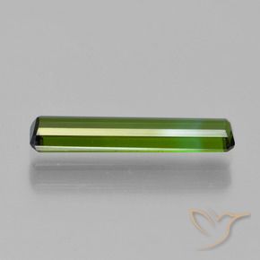 Tourmaline Gemstone in 14.6 x 3.2 mm Size for Sale, Tourmaline Stone in Medium Green Color