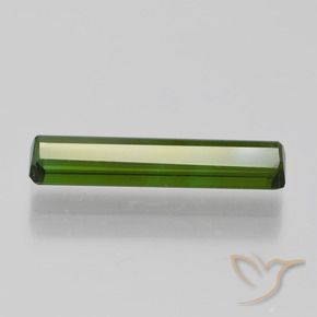 Tourmaline Gemstone in 16.2 x 4 mm Size for Sale, Tourmaline Stone in Seaweed Green Color