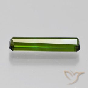Tourmaline Gemstone in 16 x 3.8 mm Size for Sale, Tourmaline Stone in Dark Green Color
