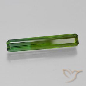 1.66 ct Green Tourmaline Stone, Natural Tourmaline in Octagon Step Cut Shape for Sale