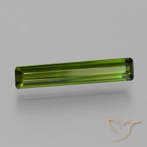 1.55 ct Green Tourmaline Stone, Natural Tourmaline in Octagon Step Cut Shape for Sale
