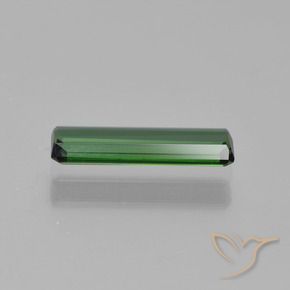 Tourmaline Gemstone in 11.7 x 3 mm Size for Sale, Tourmaline Stone in Forest Green Color