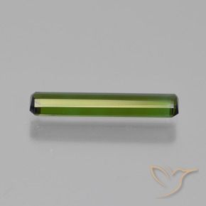 Tourmaline Gemstone in 14.5 x 3.1 mm Size for Sale, Tourmaline Stone in Medium Green Color