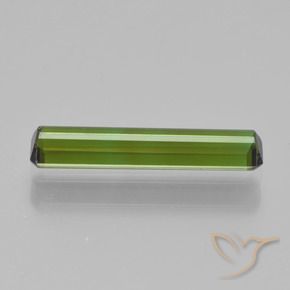 Tourmaline Gemstone in 14.6 x 3.3 mm Size for Sale, Tourmaline Stone in Forest Green Color