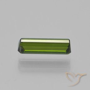 Tourmaline Gemstone in 9.7 x 3.1 mm Size for Sale, Tourmaline Stone in Earthy Green Color