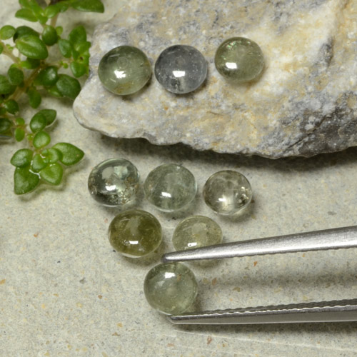 Sage Green Turmalin Edelstein - 0.4ct Rondelleschliff (ID: 480724)