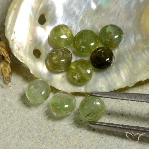 Sage Green Turmalin Edelstein - 0.4ct Rondelleschliff (ID: 480725)