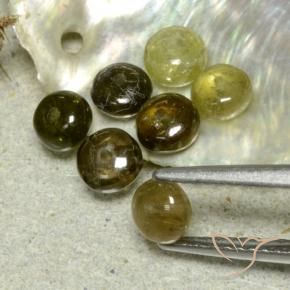 Tourmaline Gemstones in 4.5 x 4.4 mm Size for Sale, Tourmaline Stones in Multicolor Color