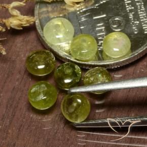 Tourmaline Gemstones in 4.3 x 4.1 mm Size for Sale, Tourmaline Stones in Yellow Green Color