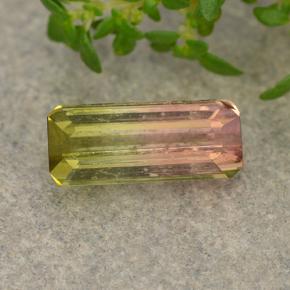 1.3ct Octagon Step Cut Bi-color Tourmaline Gem for sale 1.3ct Octagon Step Cut Bi-color Tourmaline Gem (ID: 487800)