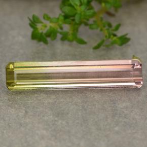 4.8ct Octagon Step Cut Bi-color Tourmaline Gem for sale 4.8ct Octagon Step Cut Bi-color Tourmaline Gem (ID: 487802)