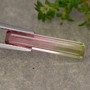 2.1ct Octagon Step Cut Bi-color Tourmaline Gem for sale 2.1ct Octagon Step Cut Bi-color Tourmaline Gem (ID: 487803)