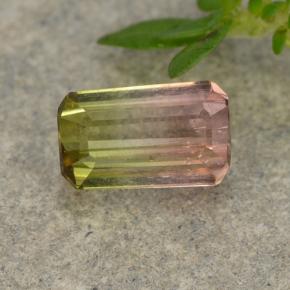 0.7ct Octagon Step Cut Bi-color Tourmaline Gem for sale 0.7ct Octagon Step Cut Bi-color Tourmaline Gem (ID: 488566)
