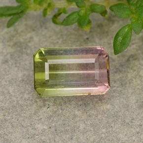 1.3ct Octagon Step Cut Bi-color Tourmaline Gem for sale 1.3ct Octagon Step Cut Bi-color Tourmaline Gem (ID: 488567)